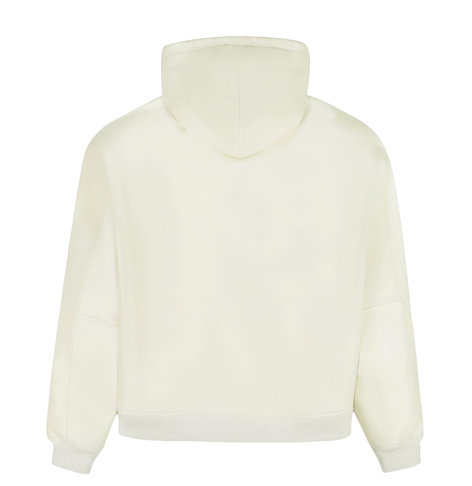 SCRIPT NAPPA LEATHER HOODIE – Avirex