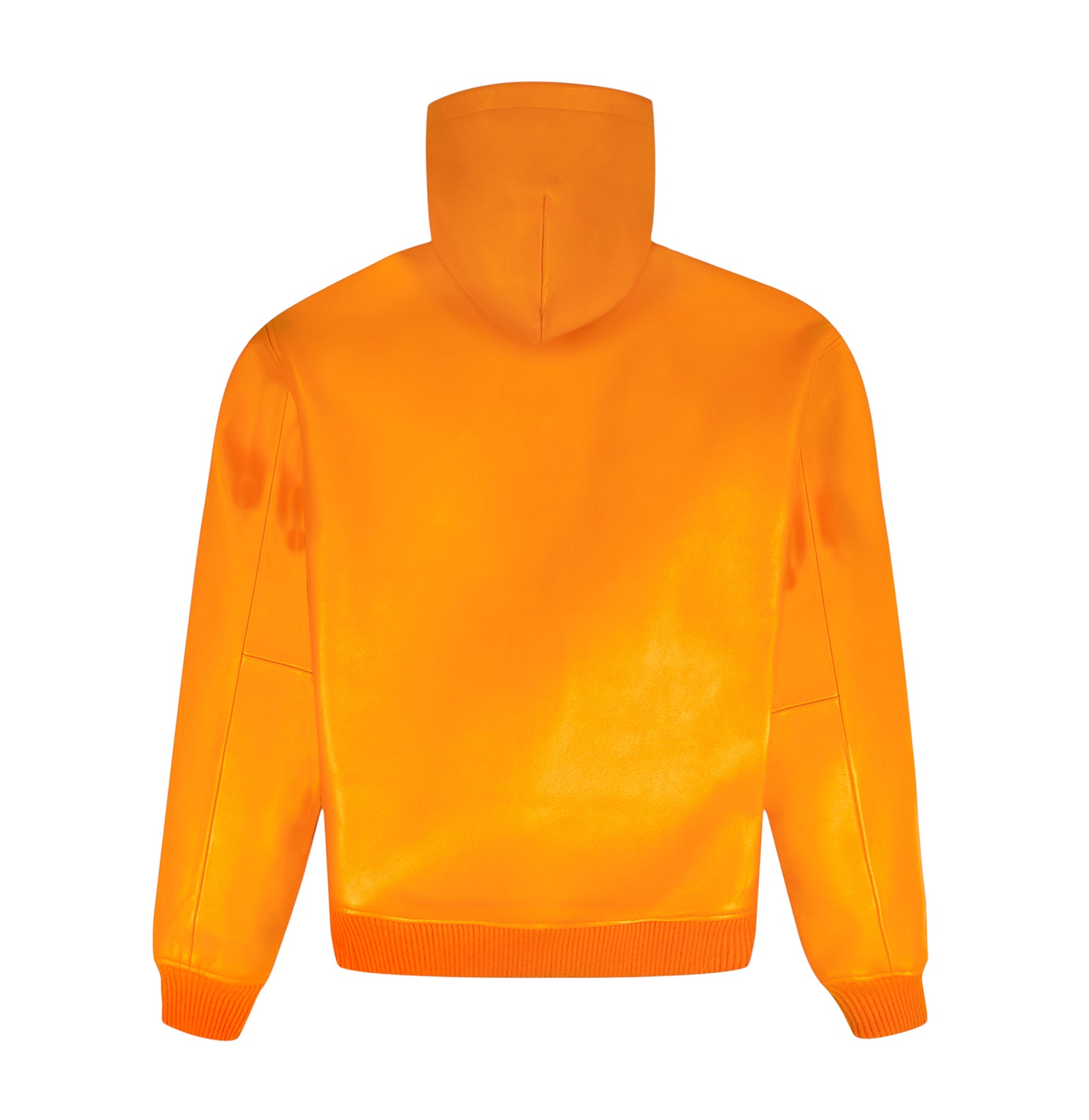 SCRIPT NAPPA LEATHER HOODIE – Avirex