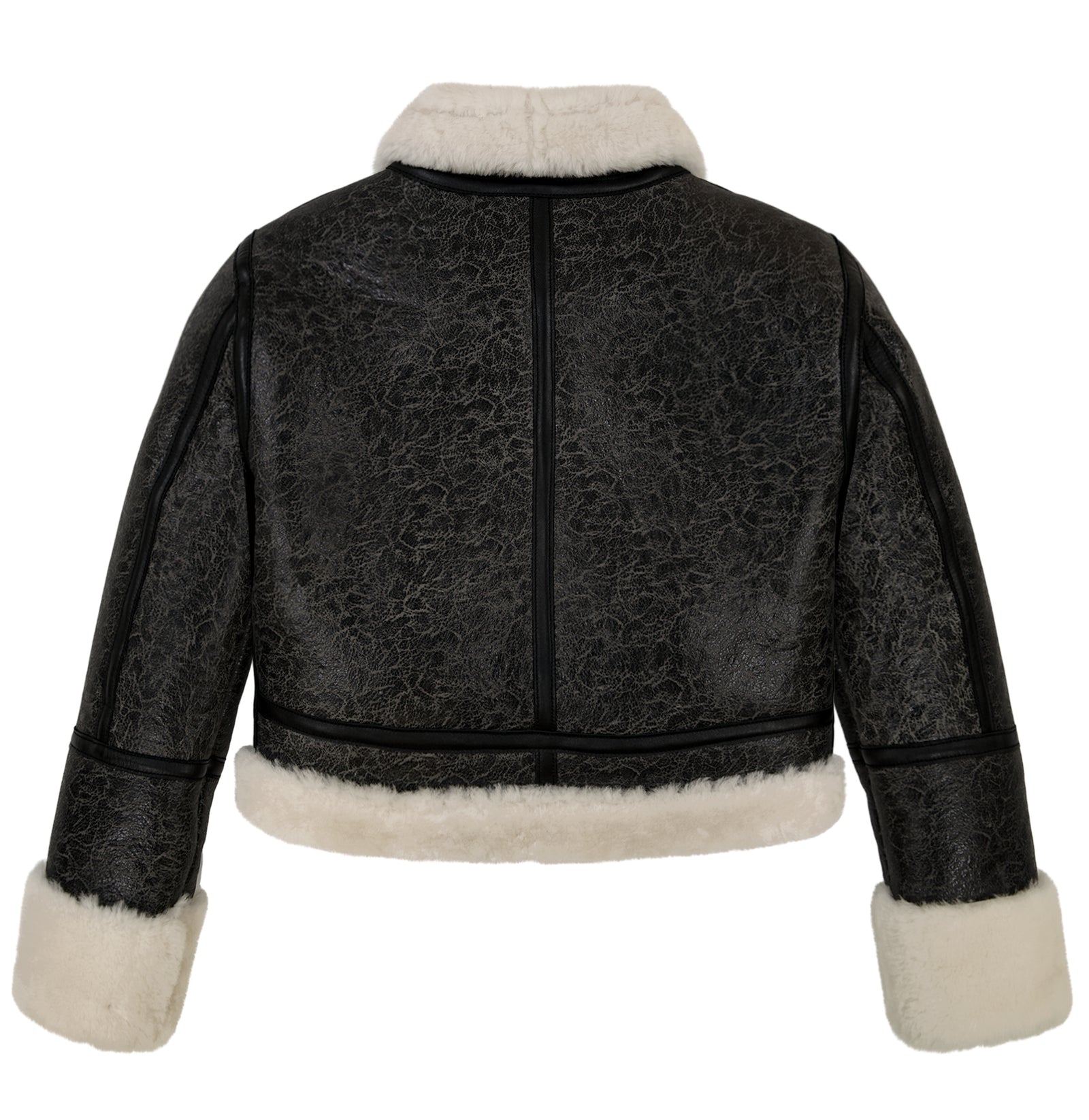 AvirexJacket_12_1600x.jpg?v=